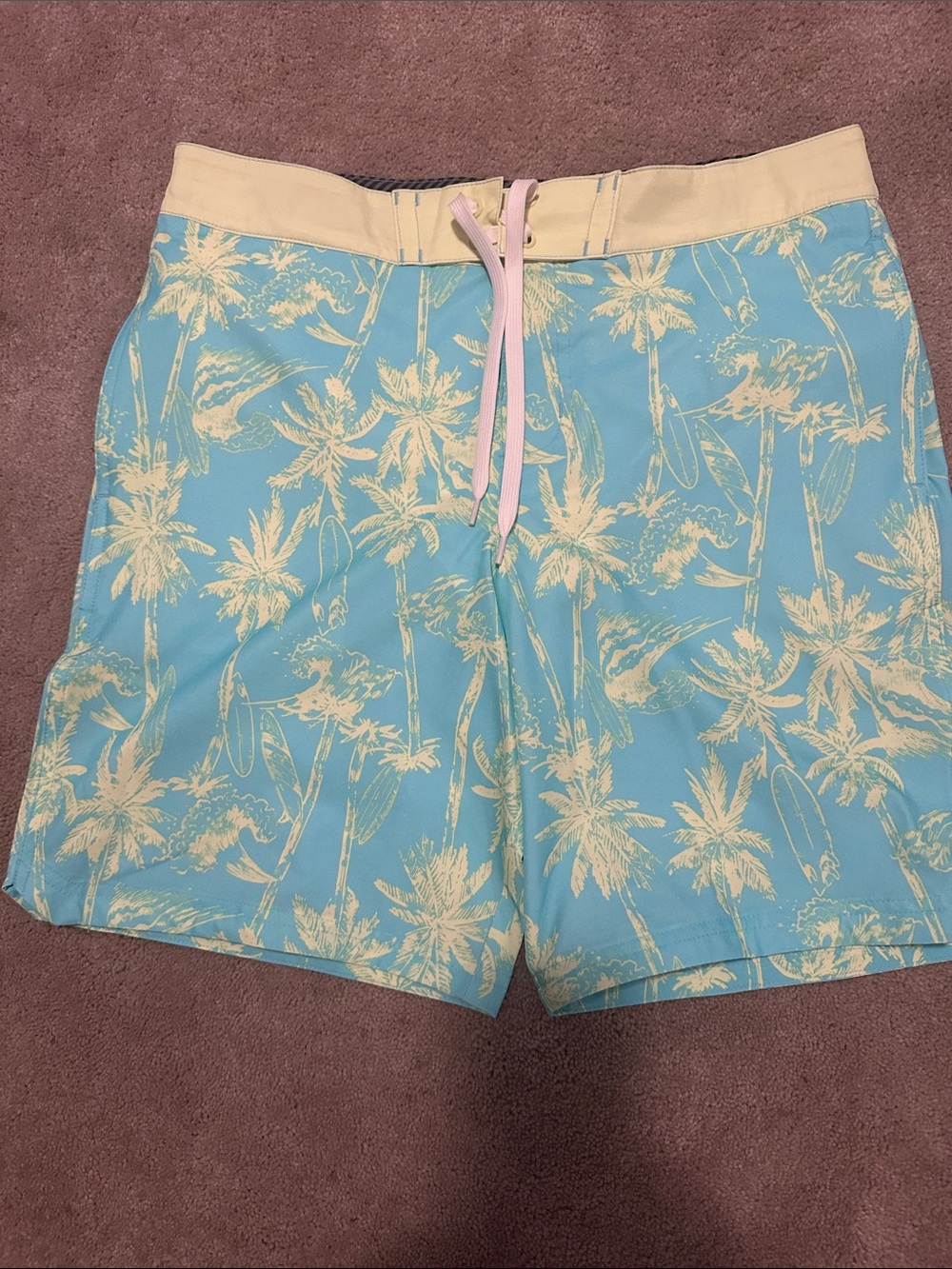 art class Light Blue and Cream Palm Print Swim Trunks with Pink Drawstring